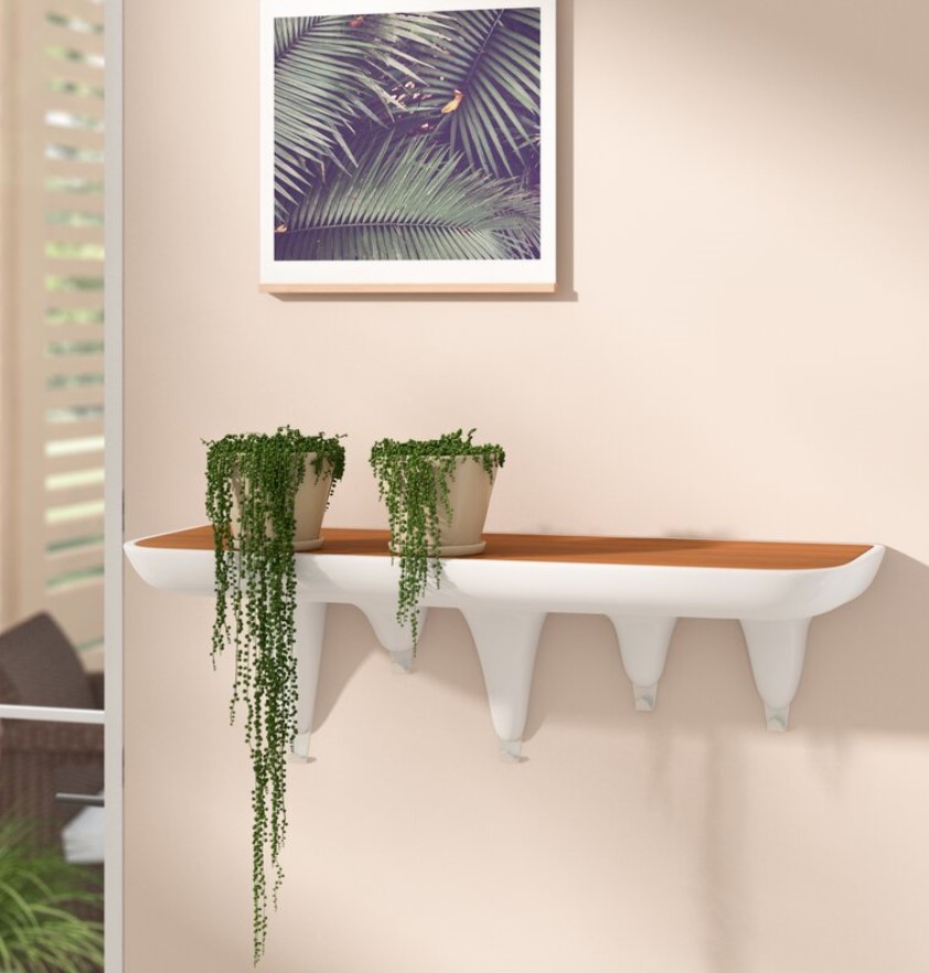 2-plants-on-wall-shelf