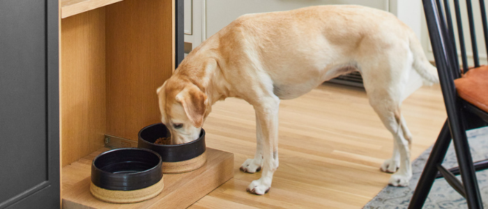 dog food bowls stored under cabinet