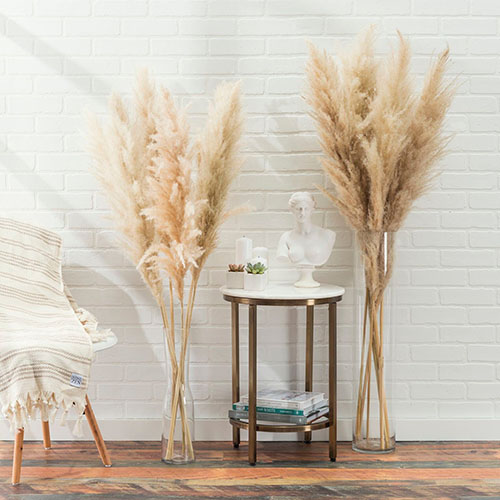 Dried Pampas Stems in Vase in Home