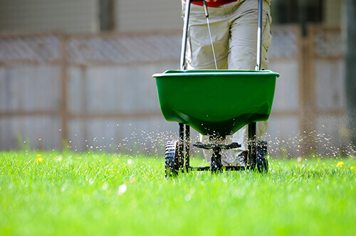 Be sure to fertilize your lawn
