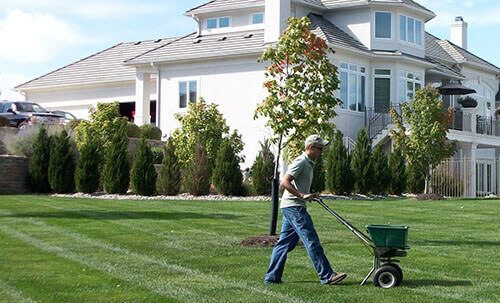 Fertilize your lawn to provide nutrients to the soil
