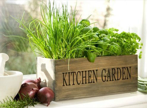 Herb garden for the kitchen
