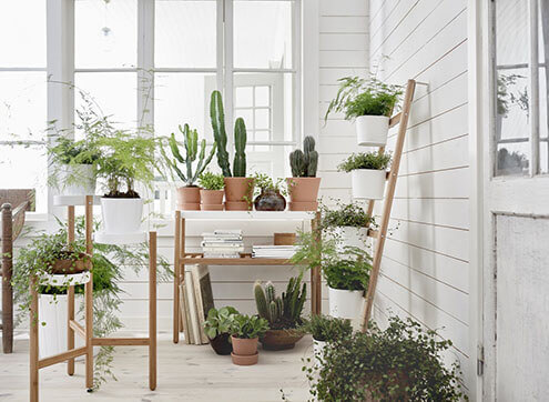 Indoor garden planted in containers