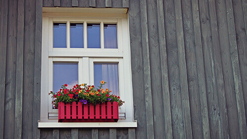 Colorful flowers on the windowsill