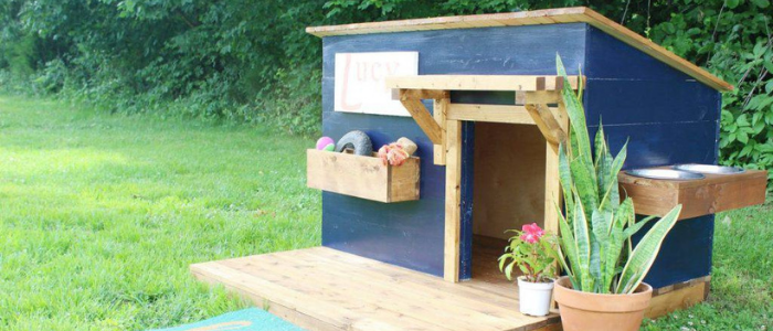 outdoor puppy playhouse