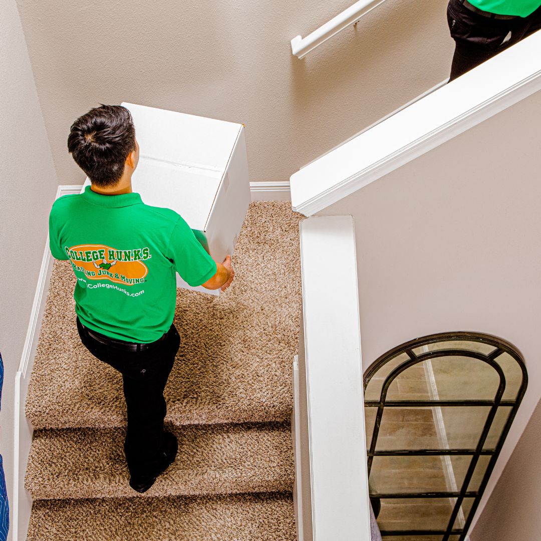 Professional movers loading cardboard boxes