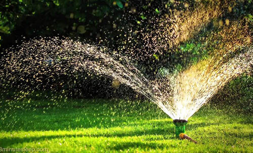 It is important to water your lawn regularly