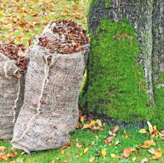 bags-of-fallen-leaves
