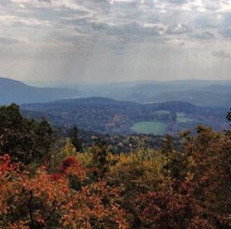 The nature of New Jersey