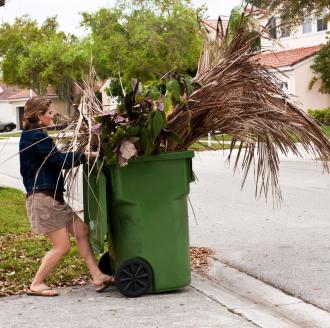 woman-disposing-of-tree-branches