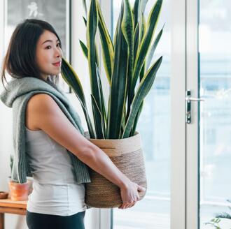 woman holding houseplant in home among other indoor plants