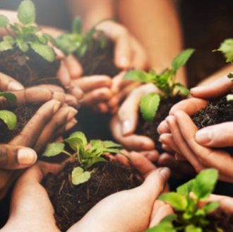 Earth Day seed pods in hands