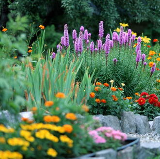 Selecting the right plants for home and garden
