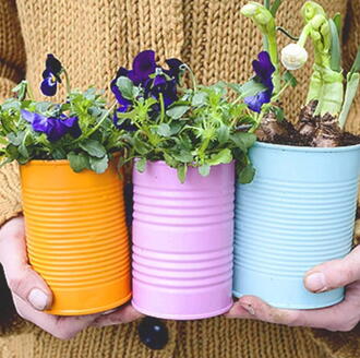 upcycling potted plants