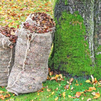 bags-of-fallen-leaves