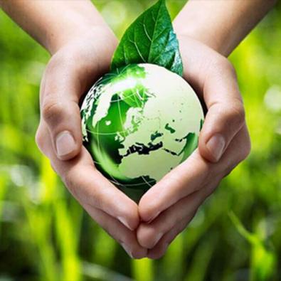hands holding a green earth