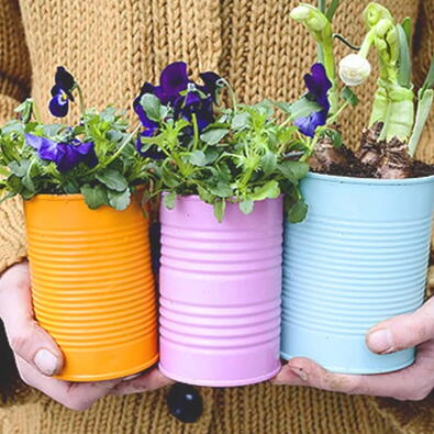 upcycling potted plants