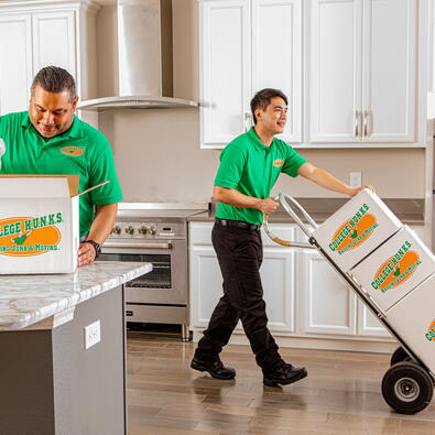 Professional full-service movers carrying boxes into a new home during a stress-free move