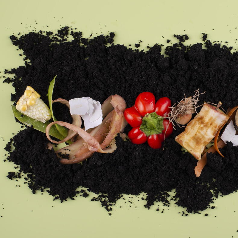 Composting 101: Easy Home Composting Tips to Go Green and Cut Waste
